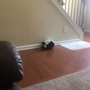 Meet your Posher, Pat